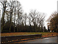 Pathway, All Saints Church, Bedworth