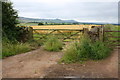 Field gates from minor road opposite track to Low Abbey