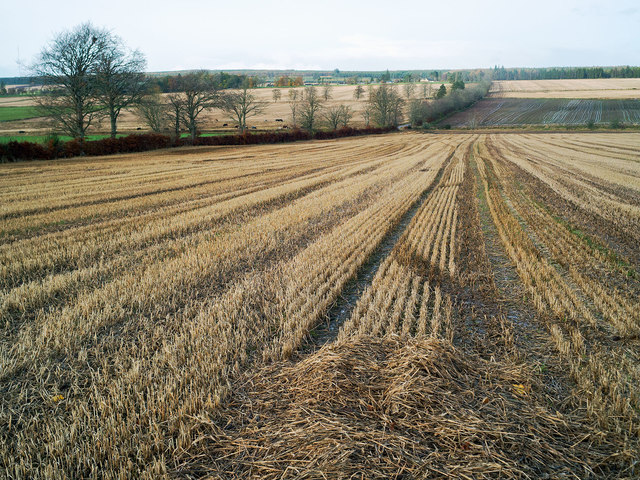 Harvested fields by Goose Burn  