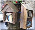 A library on a tree?