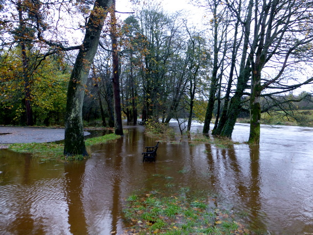 Flooded path, Cranny