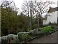 Garden, Brechin High Street