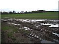 Muddy field near Home Farm