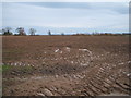 Muddy field near Chantry Farm