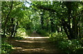 Track leading down to the Grand Union Canal