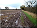 Muddy track near Cowton Grange