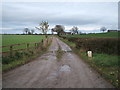 Track to Bowlturner House Farm