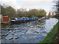 Blue Moon, narrowboat on permanent mooring, Hayes