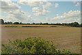 Farmland near the River Great Ouse