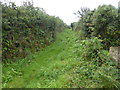 Bridle path near Trengothal Farm