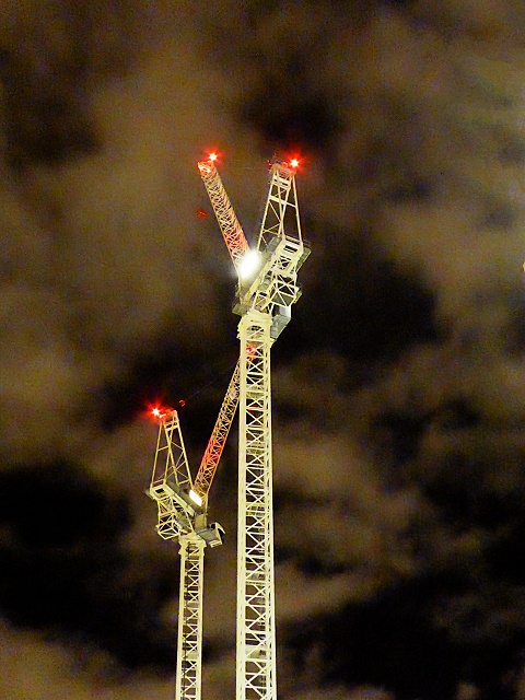 Cranes in The Night Sky