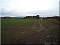 Crop field off the B6274