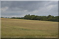 Farmland by the East Coastway Line