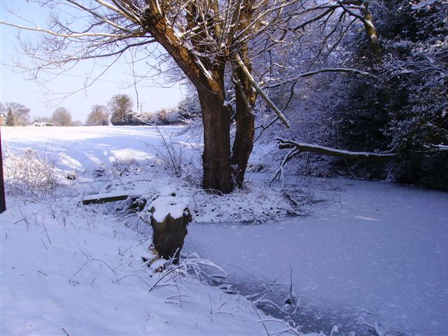 Pond near Barelands Farm Cottages (Winter)