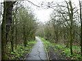 Path towards Welsh Harp