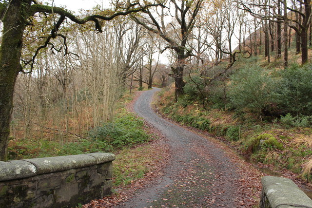 Road to Loch Trool Car Park