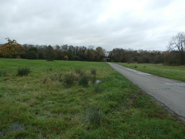 Lane at Frickley