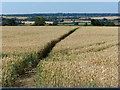 Milton Keynes Boundary Walk crossing farmland