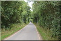 Lane near Bosworth Water