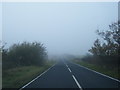 NZ2157 : Birkland Lane heading north in the mist by Colin Pyle