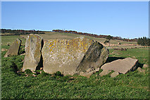 NJ6045 : Yonder Bognie Recumbent Stone Circle (3) by Anne Burgess