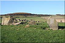 NJ6045 : Yonder Bognie Recumbent Stone Circle (4) by Anne Burgess