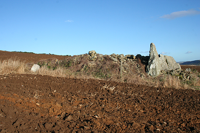 Cairnton Recumbent Stone Circle (5)