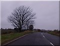 Approaching A92 underpass at Salmond