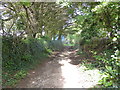 The bridle path alongside the school