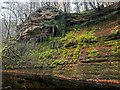 The Muckle Burn