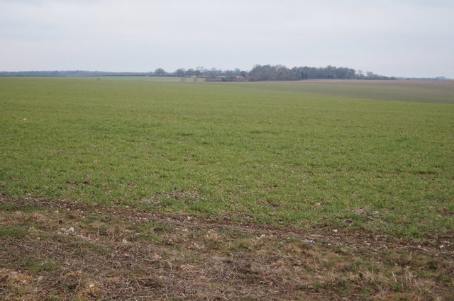 Fields north of the Harrow Way