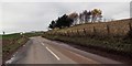 Approach to B984 junction near Wormit