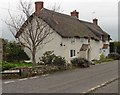 Thatched cottages, Ashill