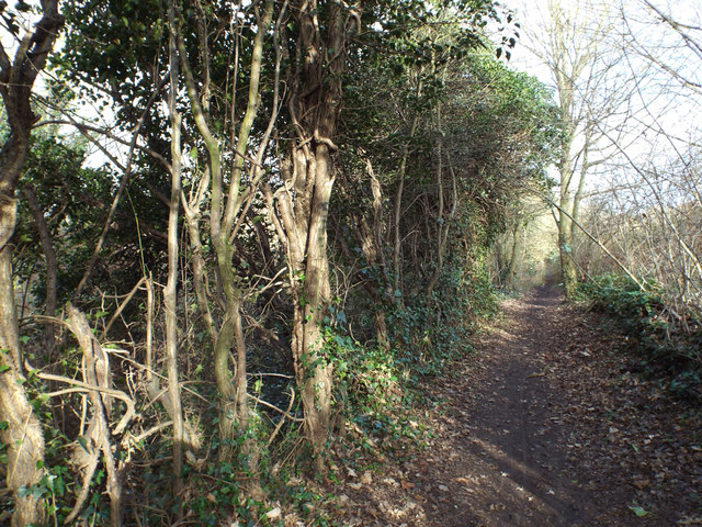Long straight footpath to the Stoke area from Whitley, Coventry
