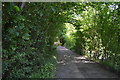 Bridleway off Grove Rd