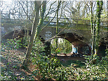 TQ2889 : Bridge over abandoned Alexandra Park (or Palace) branch line by Robin Webster