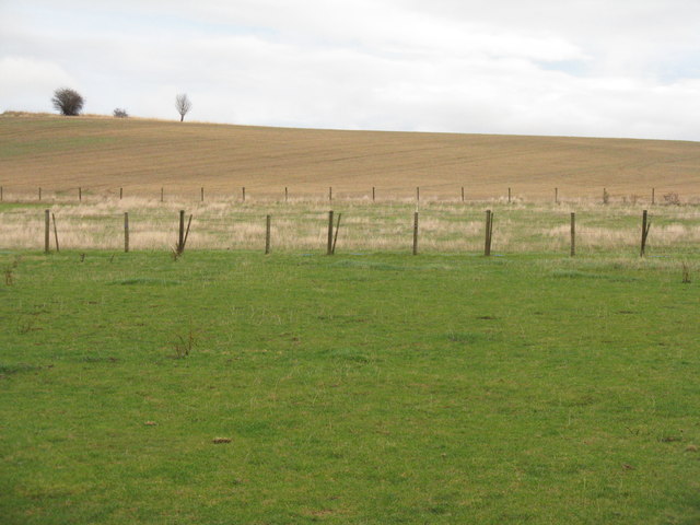 Pasture and stubble
