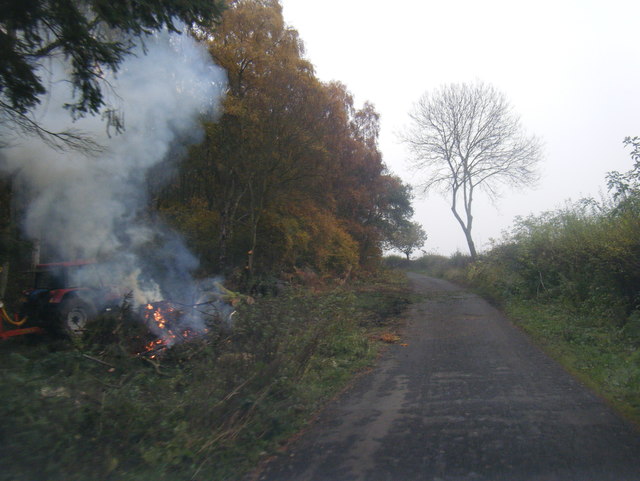Forestry clearing at Hellhaugh Wood by NCR 72