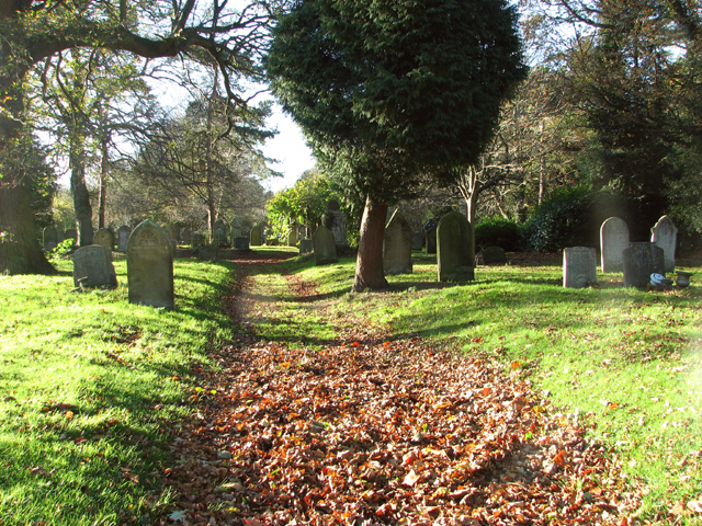 Autumn Leaves On Path In Earlham © Evelyn Simak Geograph Britain