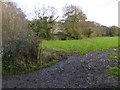 Field by the River Coly