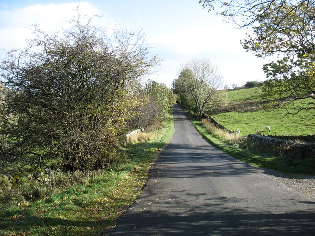 The lane from Holwick