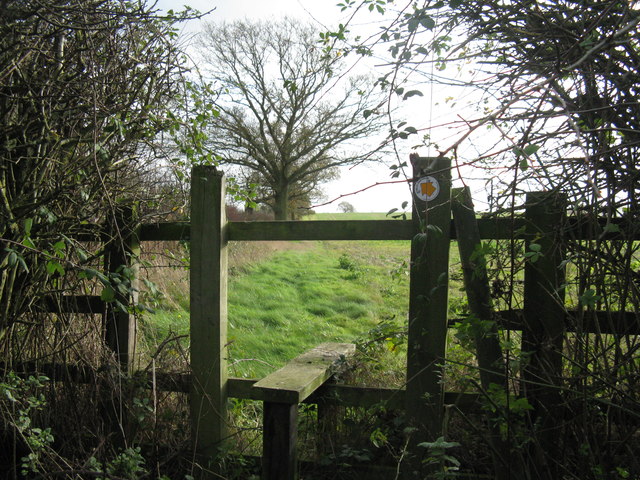A challenging stile