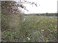 Footpath leading to a crossing of the A509