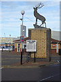 Hart sculpture at the Hartlepool Marina car park