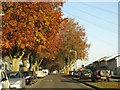 Beech Avenue in Swindon