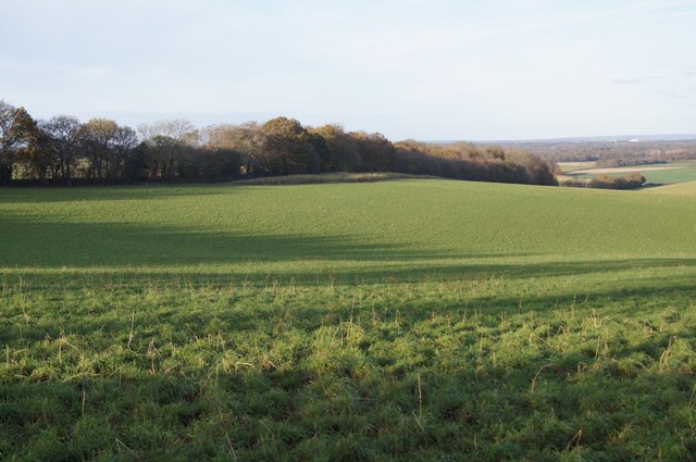 View from North Hants Downs