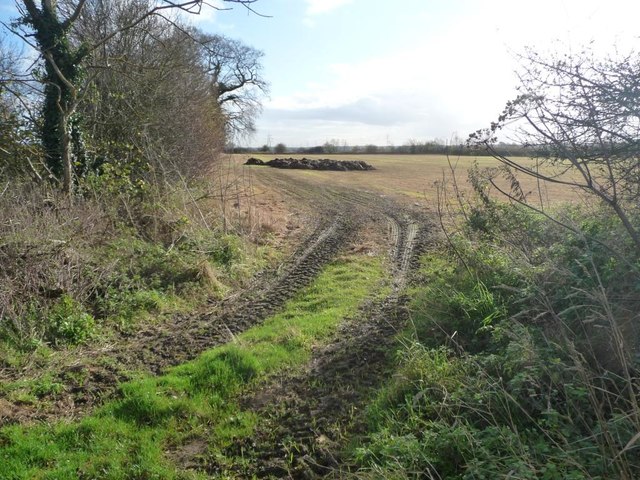 Field entrance near Westleigh