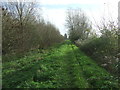 Green Footpath