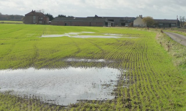 Waterlogged field at East Lilling House Farm