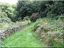 J3826 : The old medieval road continuing south from the Old Bloody Bridge by Eric Jones